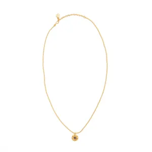 Gold Bead Necklace with Lapis Star - Afghanistan/India